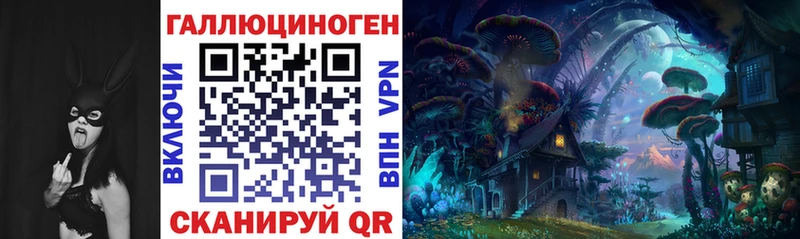 Купить где  Советский  Галлюциногенные грибы Cubensis 