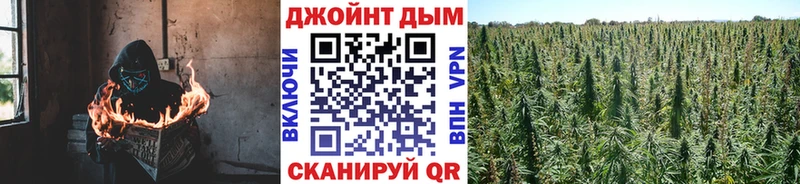 Конопля планчик  Купить закладки  Советский 